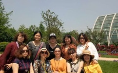 十二只猴子百度影音